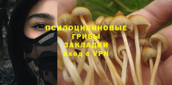 дмт Балабаново