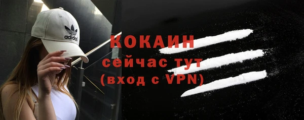 шишки Баксан