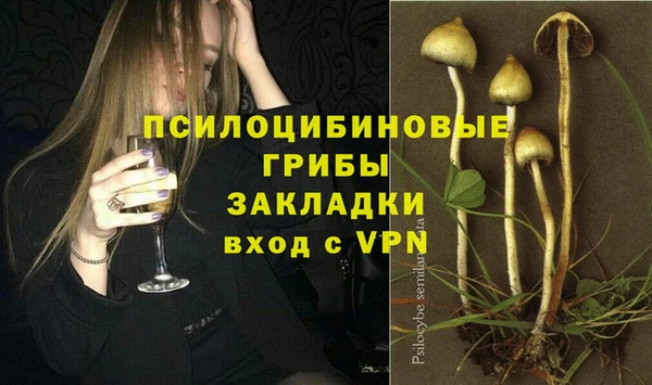 шишки Баксан