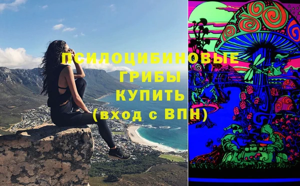 шишки Баксан