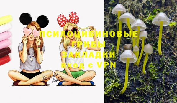 меф Балахна