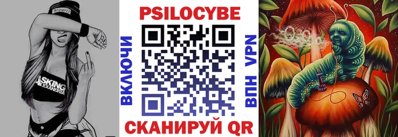 купить закладку  Строитель  Псилоцибиновые грибы GOLDEN TEACHER 